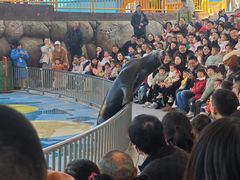 -海合安成都极地海洋公园
