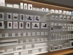 -Apple零售店(苏州店)