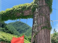 -黑河国家森林公园