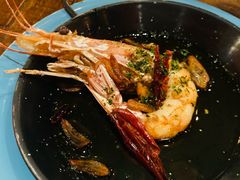 -TOMATITO(无限极荟店)