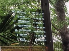 -West10 西拾·西餐厅·创意菜(未来科技城店)