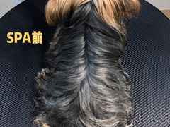 -Double Rui宠物酒店