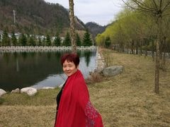-牛背梁国家森林公园