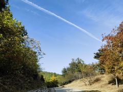 -北京西山国家森林公园