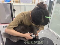 -爱洗澡的猫(天河路店)