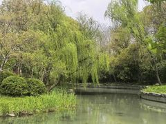 -长广溪湿地公园
