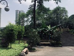 -晓港公园
