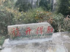 -蝶舞清江·恩施云顶景区(黄鹤峰林)