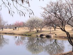 -上海辰山植物园
