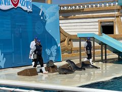 -秦皇岛乐岛海洋王国