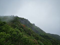 -大围山国家森林公园