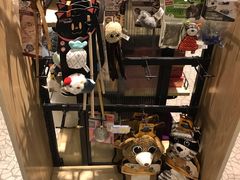 -momokira米努特·德文卷毛猫·棉花面纱犬