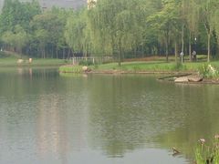 -中国浦东干部学院