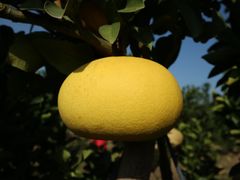 -漩门湾国家湿地公园