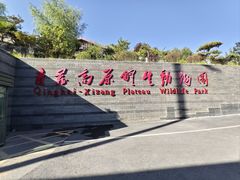 -青藏高原野生动物园