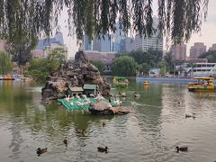 -团结湖公园