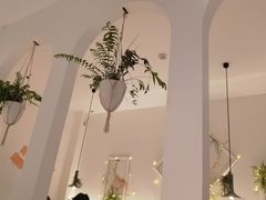 -春树下·树屋花房西餐厅(罍街AS1980店)