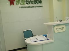 -悦宠凯宝动物医院·牙科·皮肤科(朝阳北路店)