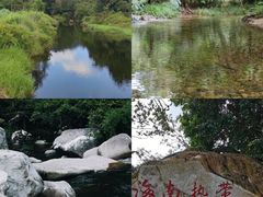 -海南热带雨林国家公园吊罗山景区