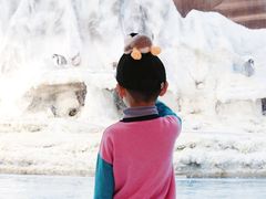 -帝企鹅自助餐厅•儿童岛•真企鹅(长隆企鹅酒店)