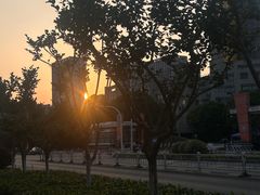 -迦南·甜品蛋糕(传媒店)