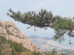 -崂山仰口游览区