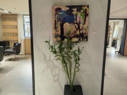 -付军剪艺JF ProSalon