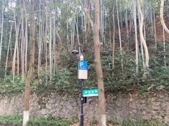 -龙井壹号·茶缘山景宴(龙井村店)