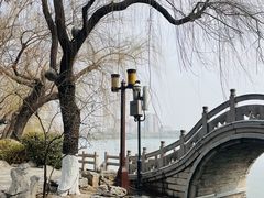 -济南大明湖景区
