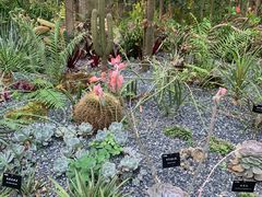 -中国科学院西双版纳热带植物园