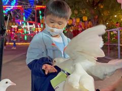 -三亚海昌梦幻海洋不夜城