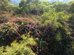 -南普陀素菜馆