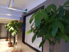 -石牌岭小亮蒸虾烧烤·湖北菜(光谷左岭店)