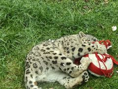 -青藏高原野生动物园