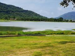 -风云岭森林公园