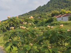 -南京市无想山景区