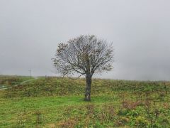 -硗碛藏寨·神木垒景区