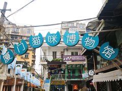 -猫咪博物馆(顶澳仔猫街店)