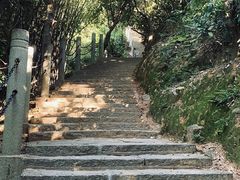 -水濂山森林公园