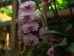 -南山植物园