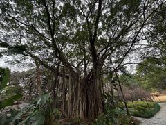 -乌山风景区