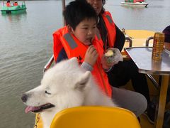 -上海长兴岛郊野公园