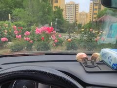-易通行汽车陪练(通州店)