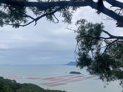 -花竹村