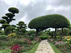 -南宁南湖公园