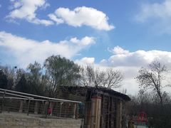 -永定河休闲森林公园