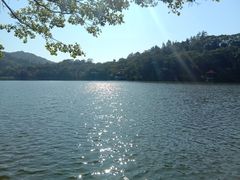 -深圳仙湖植物园