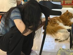 -平行世界·猫咖(首经贸店)