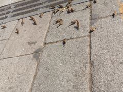 -东华门大街小区