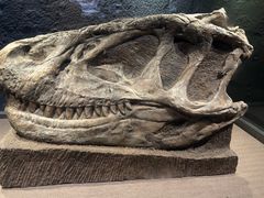 -自贡恐龙博物馆